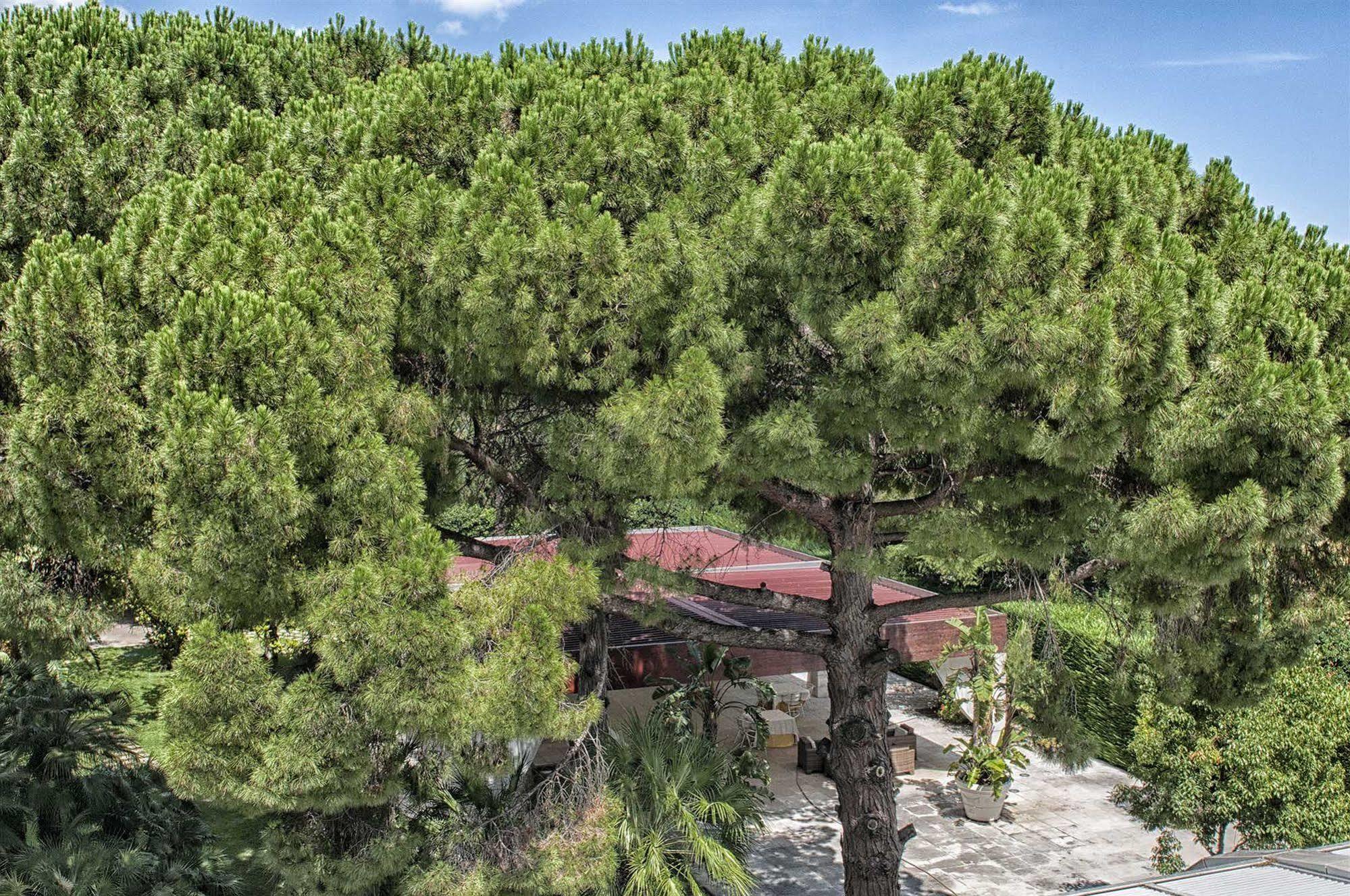 מולפטה Garden Hotel מראה חיצוני תמונה