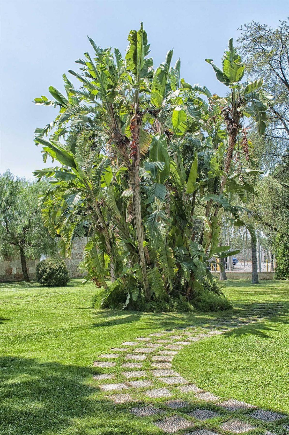 מולפטה Garden Hotel מראה חיצוני תמונה